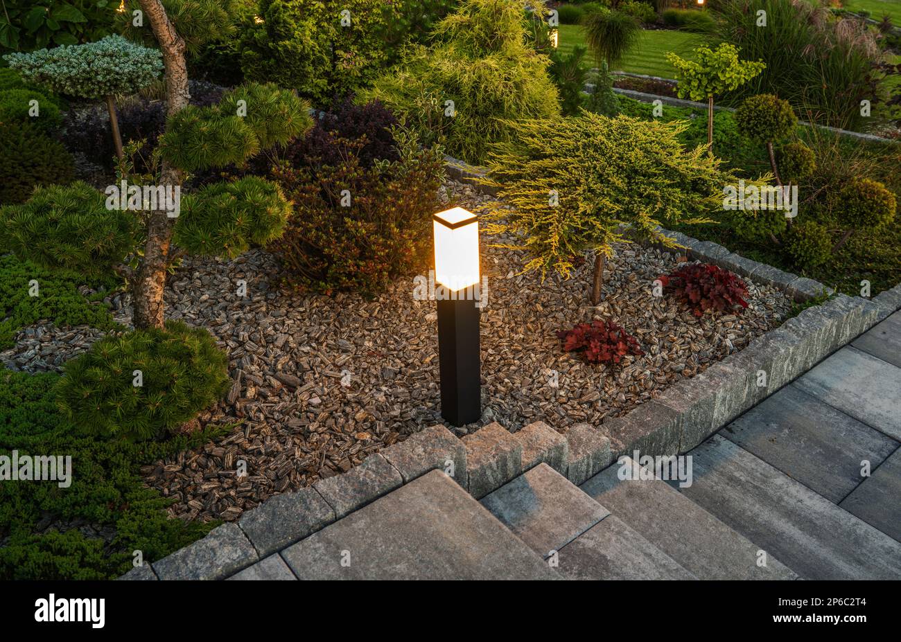 Nuit dans le jardin pittoresque de Rockery illuminé par des lumières d'extérieur carrées à DEL modernes Banque D'Images