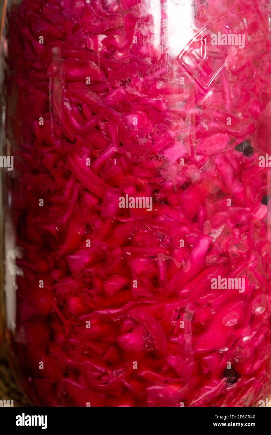 Chou rouge gros plan couleur magenta fermentant en fermentation jarre Kilner dans une cuisine maison nourriture pour la santé intestinale pays de Galles Royaume-Uni KATHY DEWITT Banque D'Images