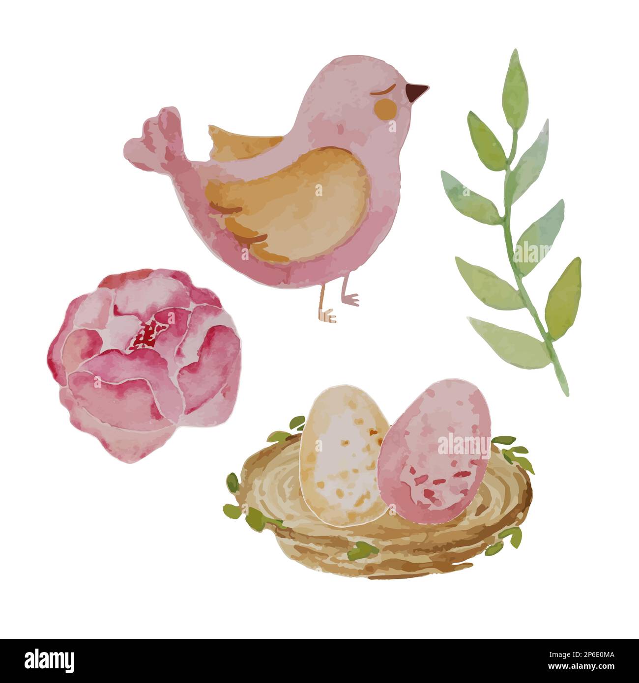 Collection aquarelle avec fleur ranunculus, oiseau rose, nid avec deux oeufs et branche verte. Illustration vectorielle Illustration de Vecteur