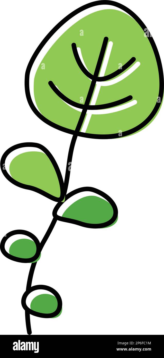 illustration vectorielle de l'icône représentant une salade d'eau Illustration de Vecteur