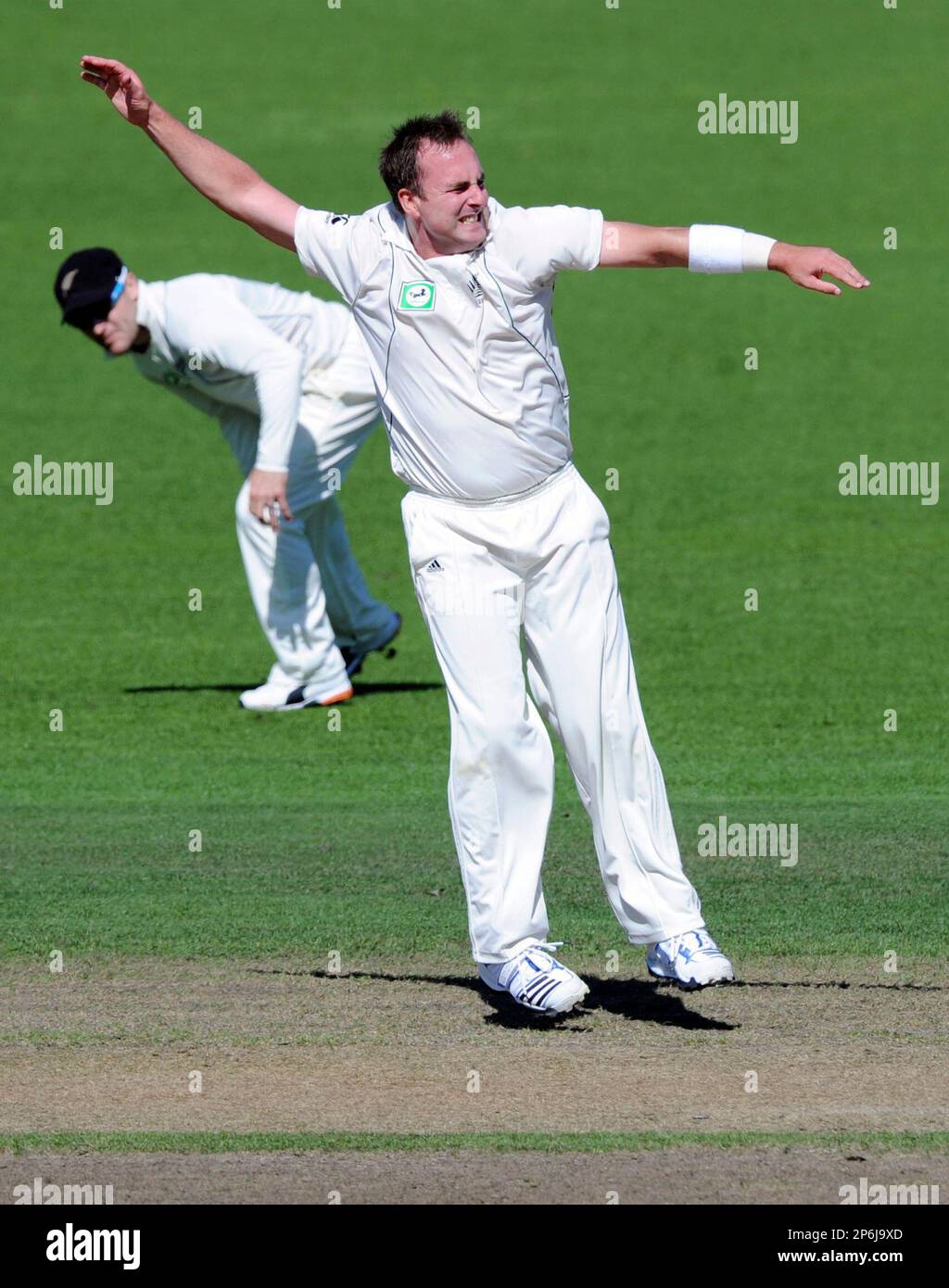 New Zealand's Mark Gillespie celebrates the dismissal of South Africa's Alviro Petersen for 29 on the second day of their second international cricket test match at Seddon Park in Hamilton, New Zealand, Friday, March 16, 2012. (AP Photo/SNPA, Ross Setford) NEW ZEALAND OUT Banque D'Images