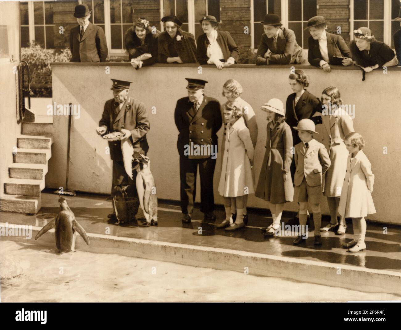 1938, Londres , Angleterre : la princesse ELIZABETH ( future reine ELIZABETH II d'Angleterre , née en 1926 ) avec sa sœur MARGARET ROSE ( la première de droite ) Au zoo de Regents Park - REALI - ROYALTIES - nobili - nobiltà - noblesse - GRAND BRETAGNA - GRANDE-BRETAGNE - INGHILTERRA - REGINA - WINDSOR - Maison de Saxe-Coburg-Gotha - célébrités personnalités quand était jeune enfant - celebità personalità da giovani giovane picoli bambini bambino bambina - chapeau - cappello - pingouin - pinguino - sorelle - sœurs - giardino zoologico - ECO-parco --- Archiv Banque D'Images