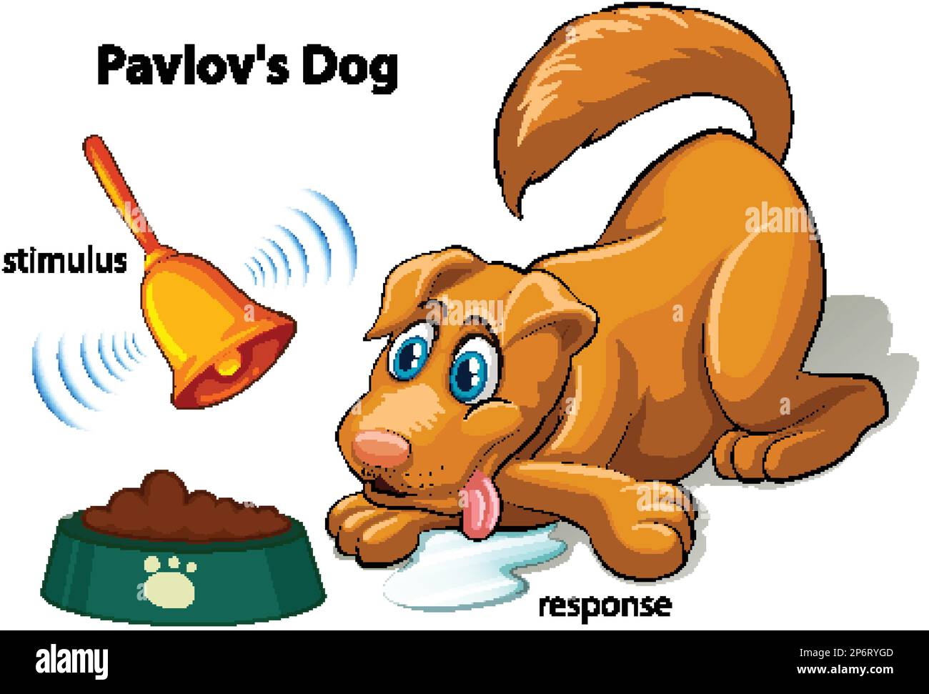 Illustration du vecteur d'expérience canine de Pavlov Illustration de Vecteur