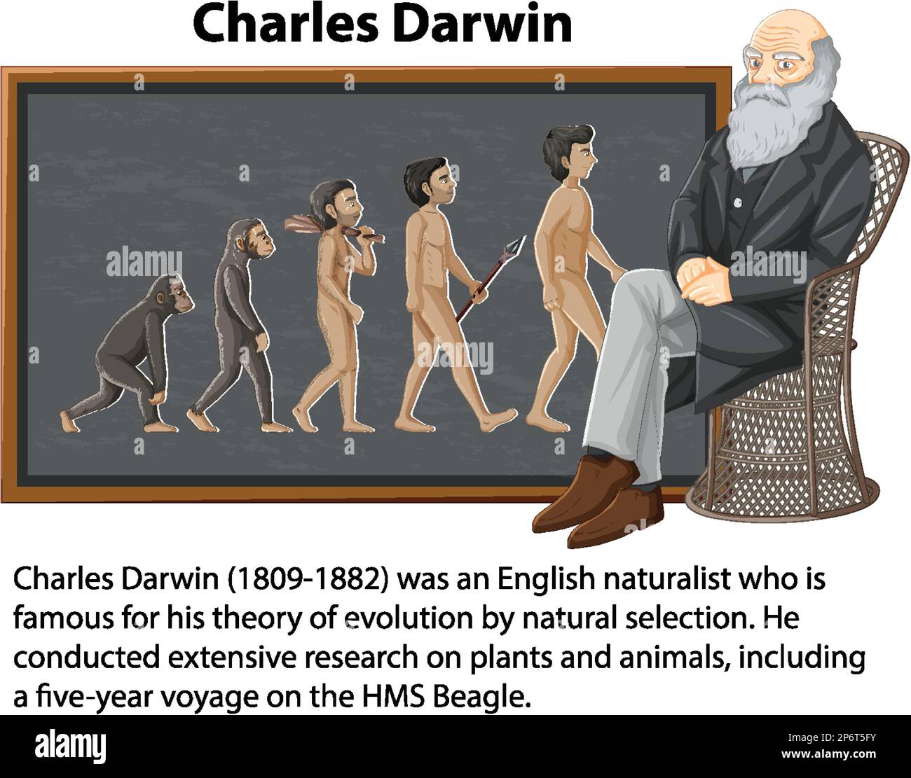 Charles darwin evolution theory Banque d'images vectorielles - Alamy