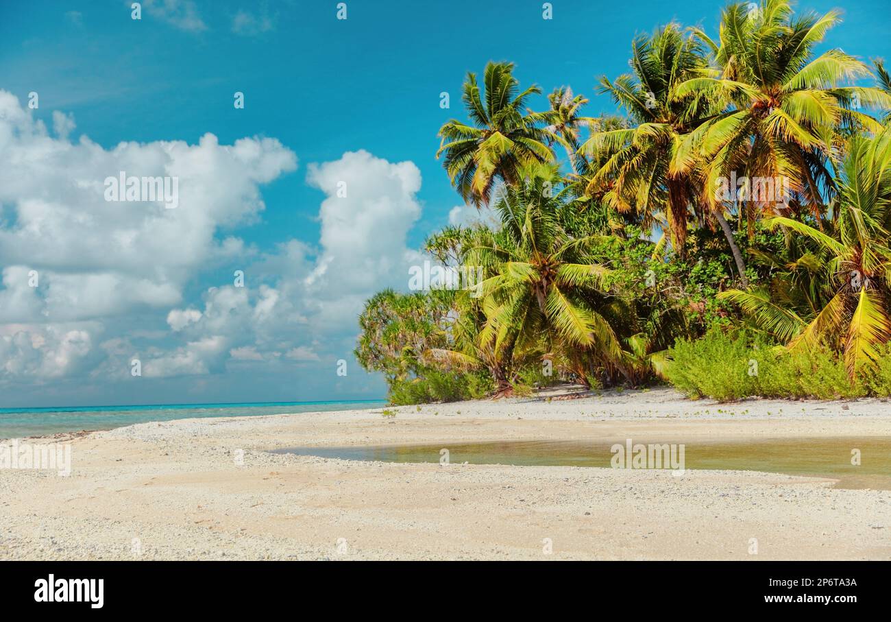 Plage paradis Voyage vacances tropical escapade image de fond de l'atoll isolé de Rangiroa, les îles de Tuamotu, la Polynésie française, Tahiti. Idyllique Banque D'Images