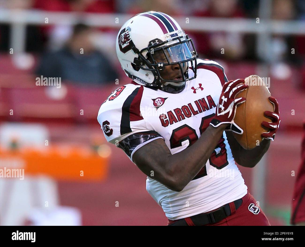 Nov 5, 2011: South Carolina wide receiver Bruce Ellington #23 looks in a ball during pre game activities. The Razorbacks defeated the Gamecocks 44-28 at Donald W. Reynolds Stadium in Fayetteville, AR, Richey Miller/CSM (Cal Sport Media via AP Images) Banque D'Images