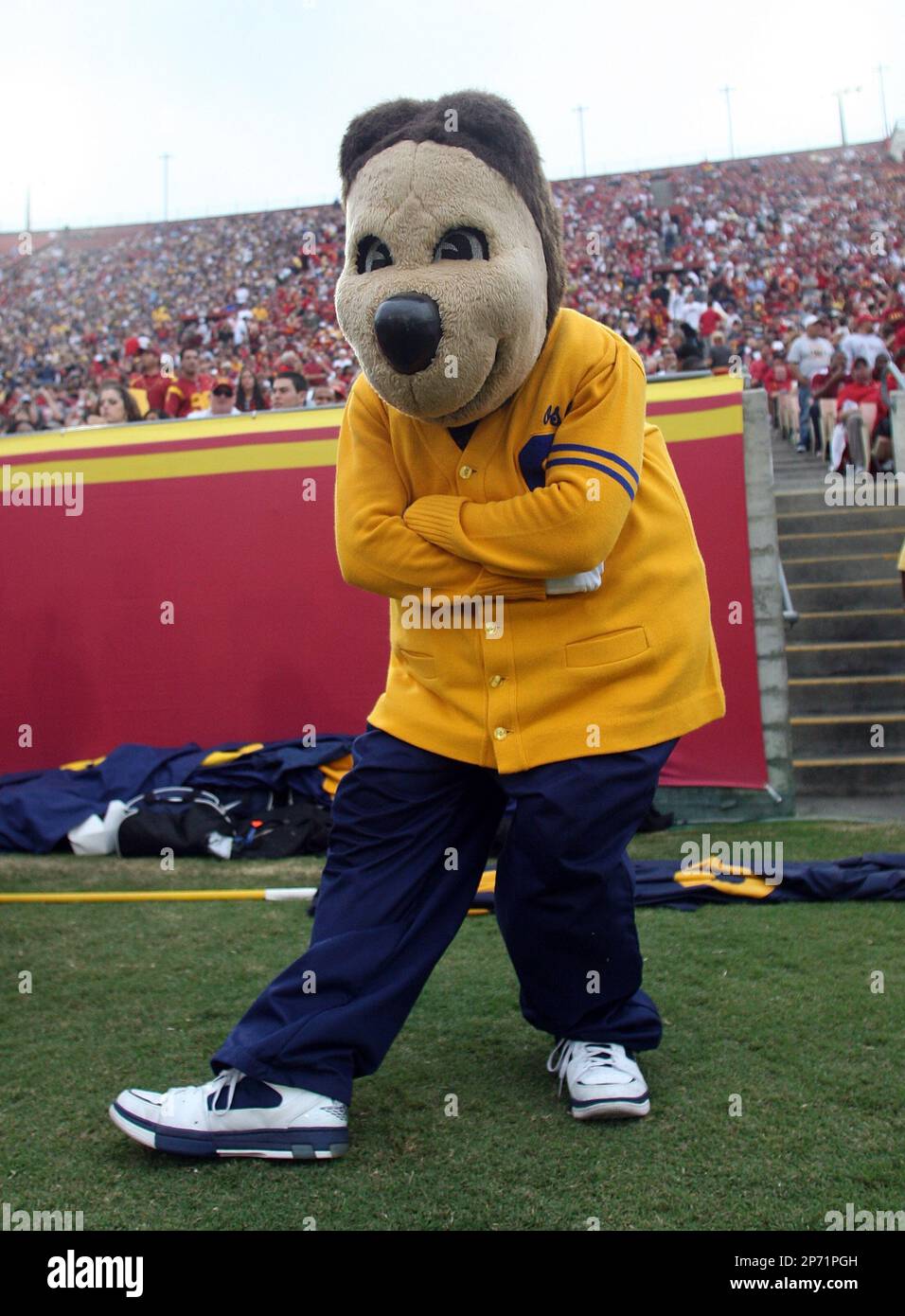 Cal Bears mascot Oski during the game against the USC Torjans at the Los Angeles Memorial Coliseum in Los Angeles, California on October 16, 2010. USC defeated Cal 48-14. (AP Photo/Ben Liebenberg) Banque D'Images