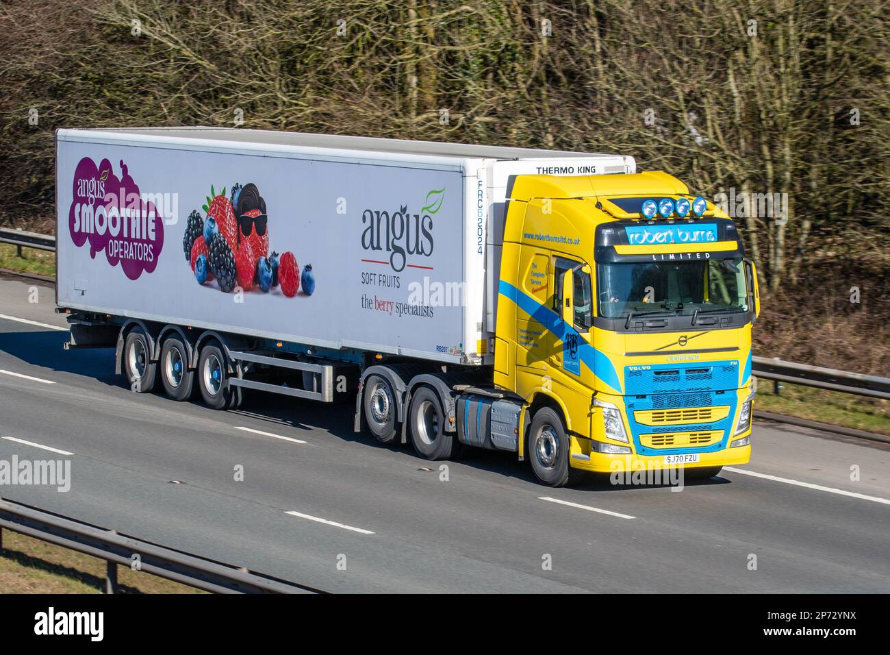 ANGUS Soft fruits, Smoothie Operators Yellow VOLVO FH camion; sur l'autoroute M61, Royaume-Uni Banque D'Images