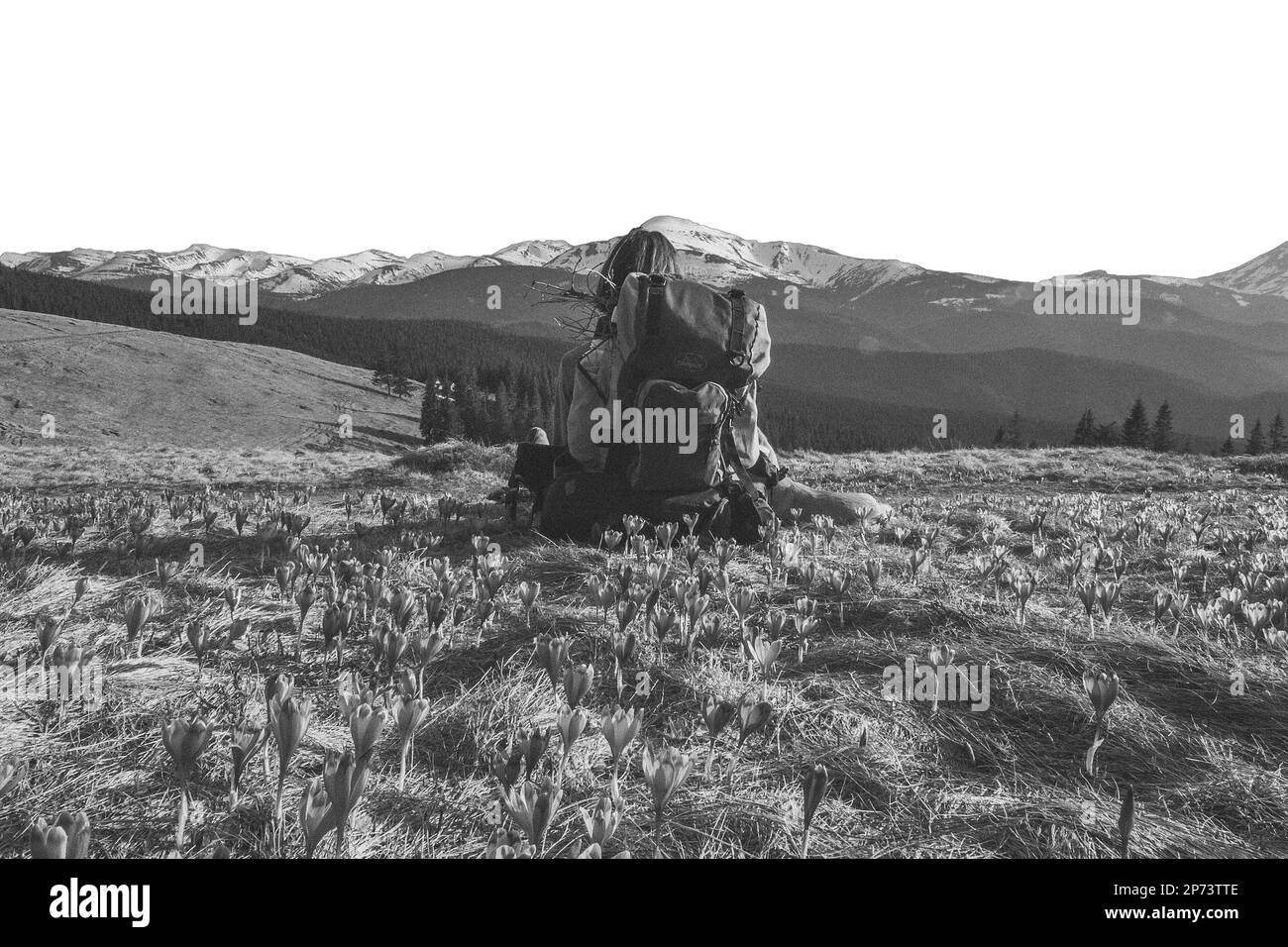 Aventurier féminin avec sac à dos et petit chien assis isolé JPG main dessin style. Dessin au crayon noir et blanc au réalisme photographique. Couper sc Banque D'Images