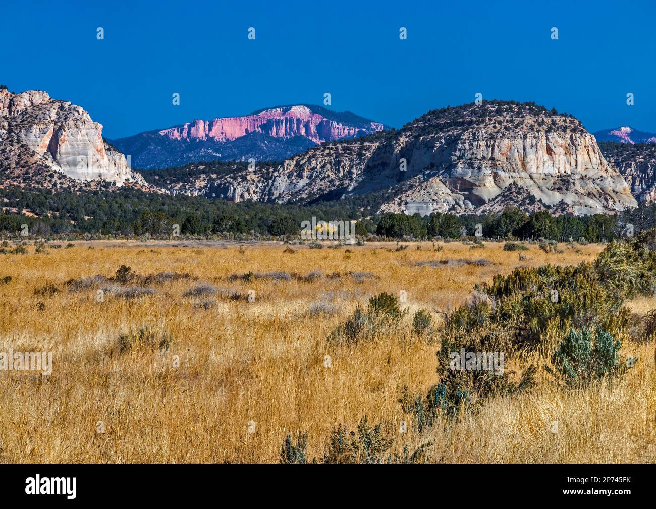 Mark point, Johnson Canyon Rd, Skutumpah Terrace, Pink Cliffs au plateau Paunsaugunt dans dist, Grand Staircase Escalante National Monument, Utah, États-Unis Banque D'Images