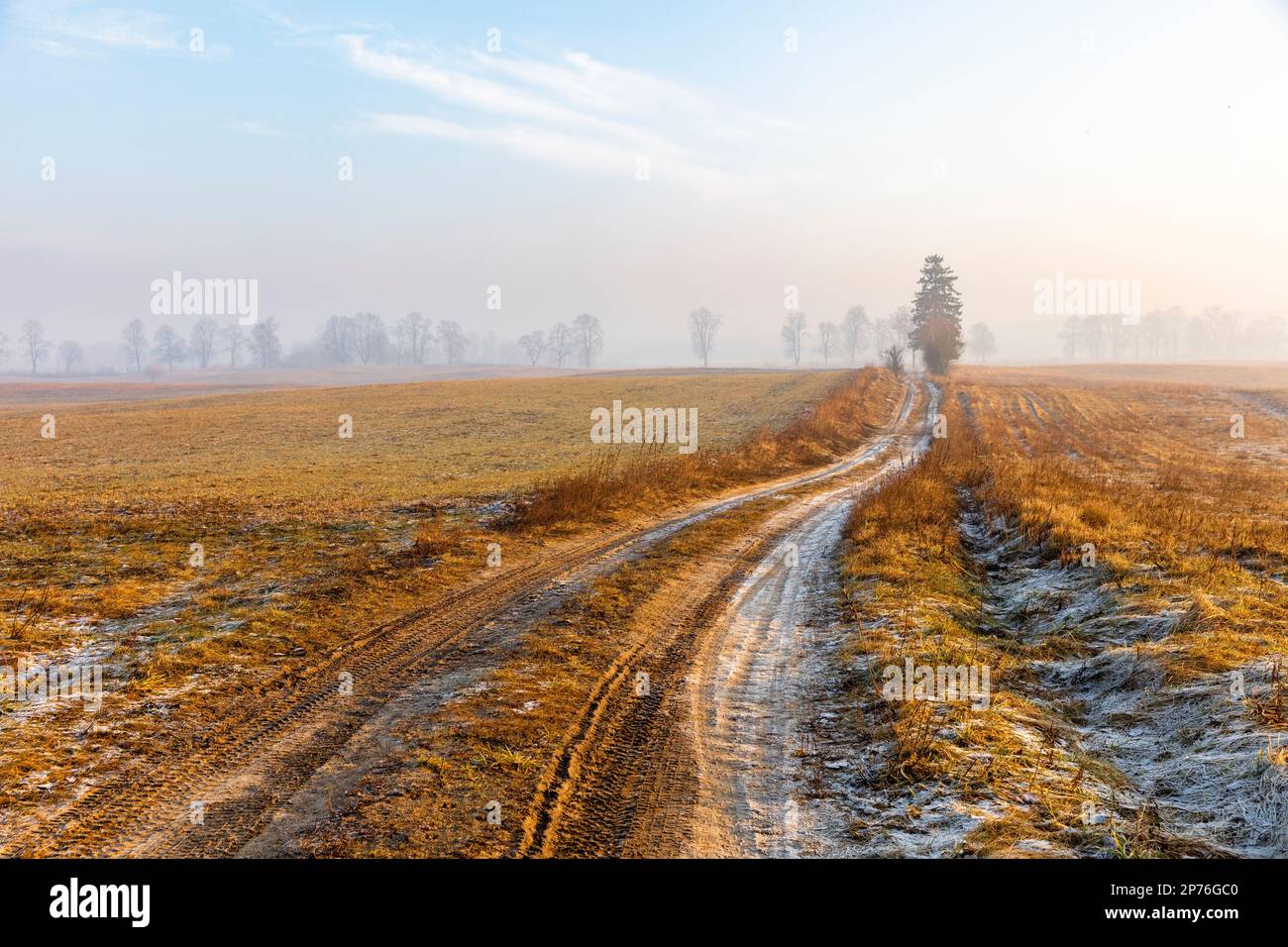 Début du printemps sur le terrain, Pologne Banque D'Images