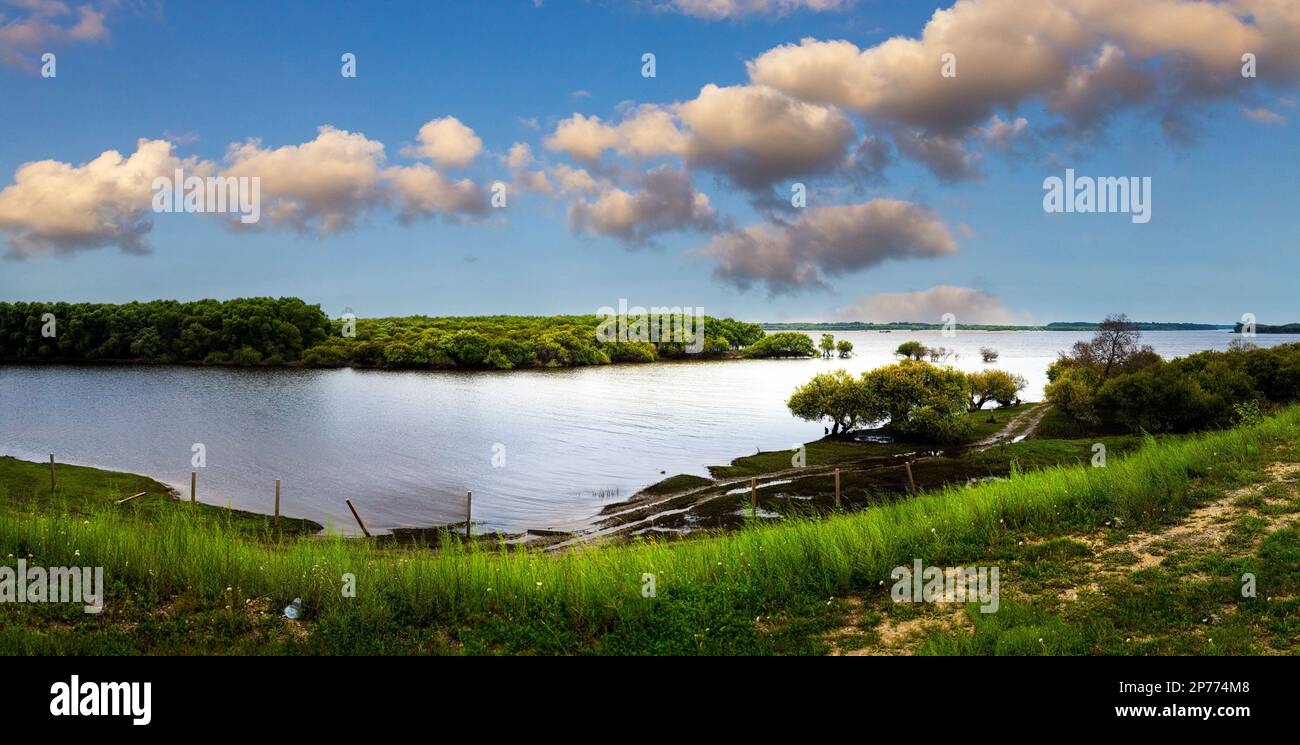 Paysage de Heilongjiang en été Banque D'Images