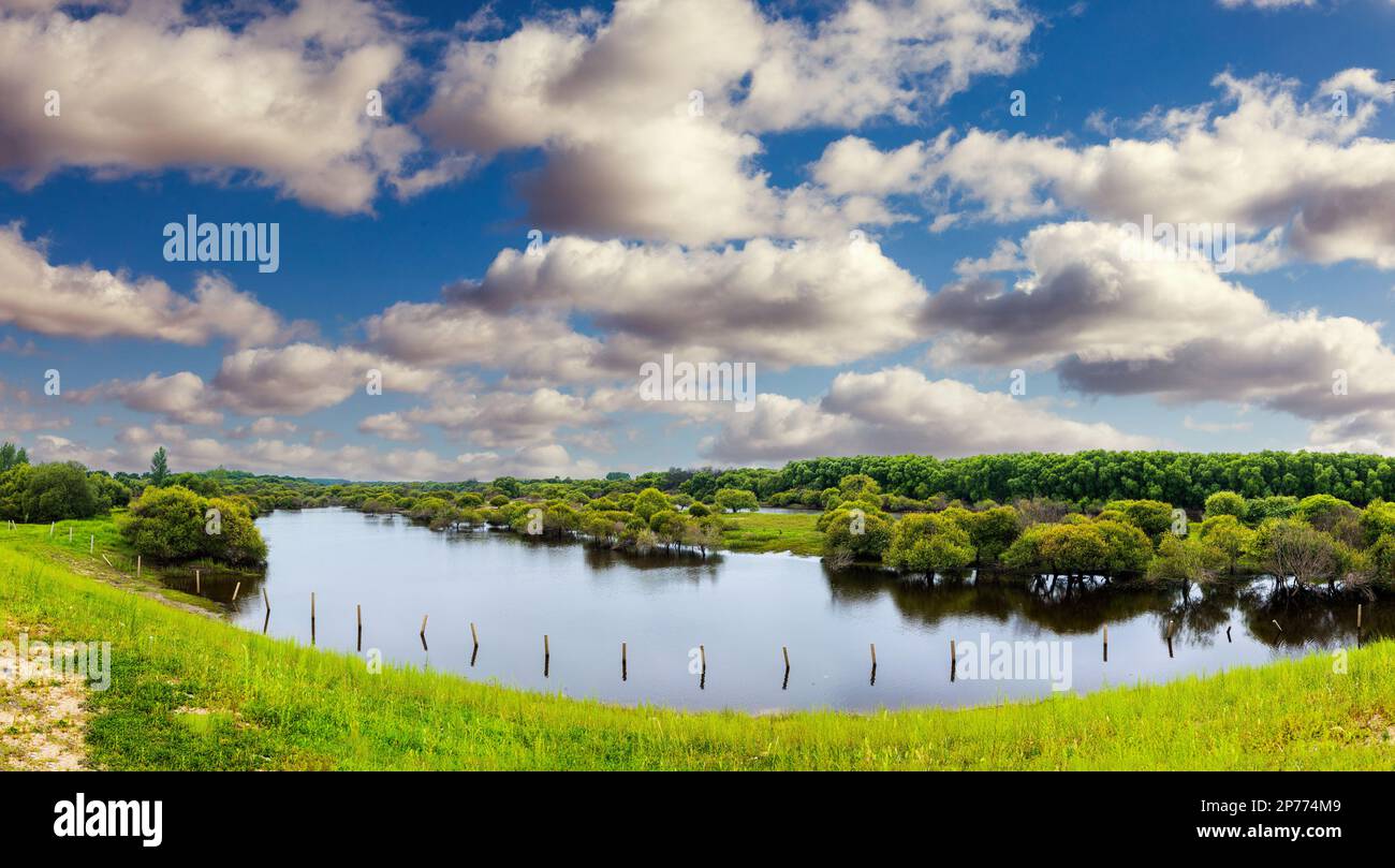 Paysage de Heilongjiang en été Banque D'Images