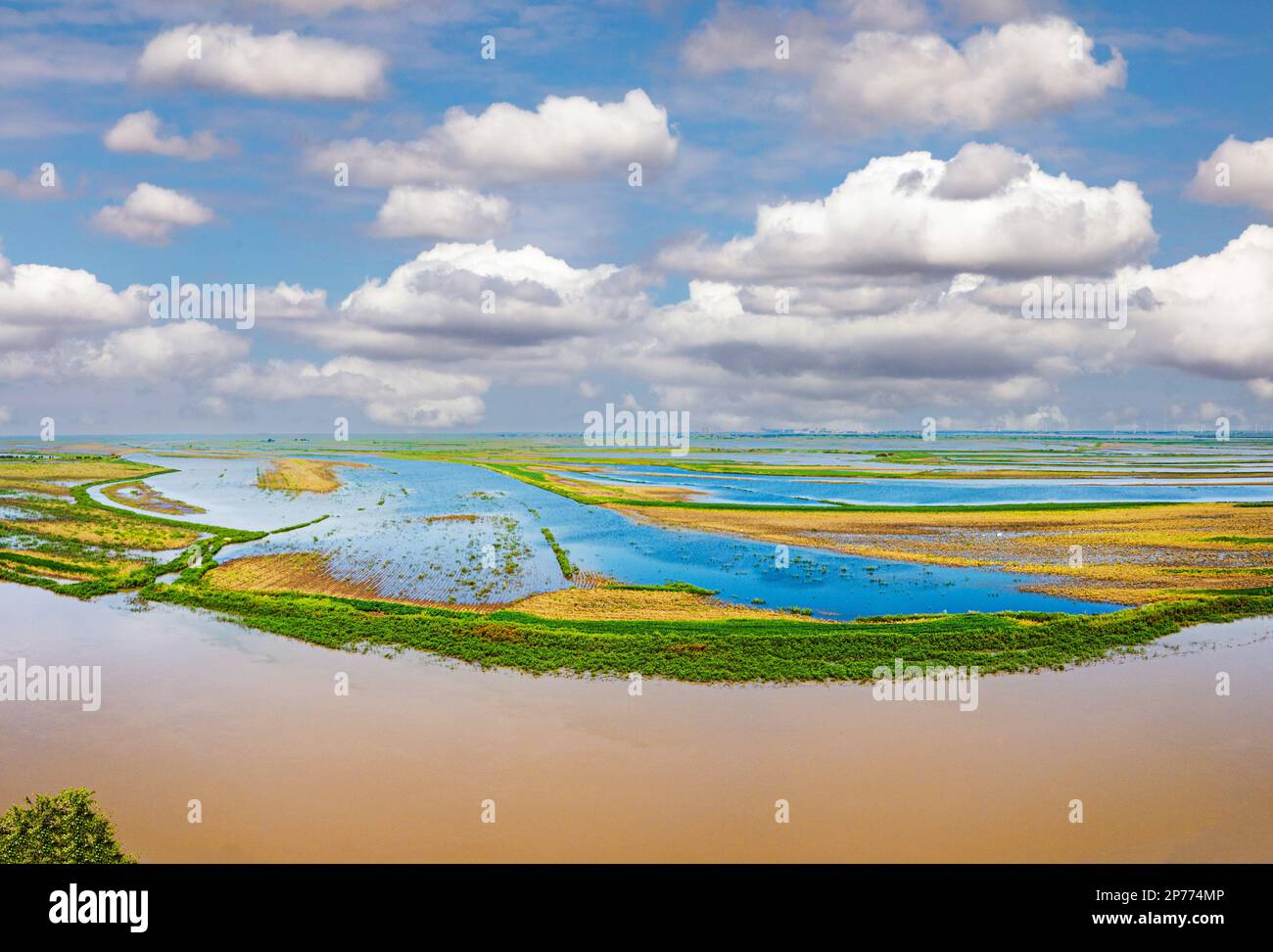 Paysage aérien de la rivière songhua en été Banque D'Images