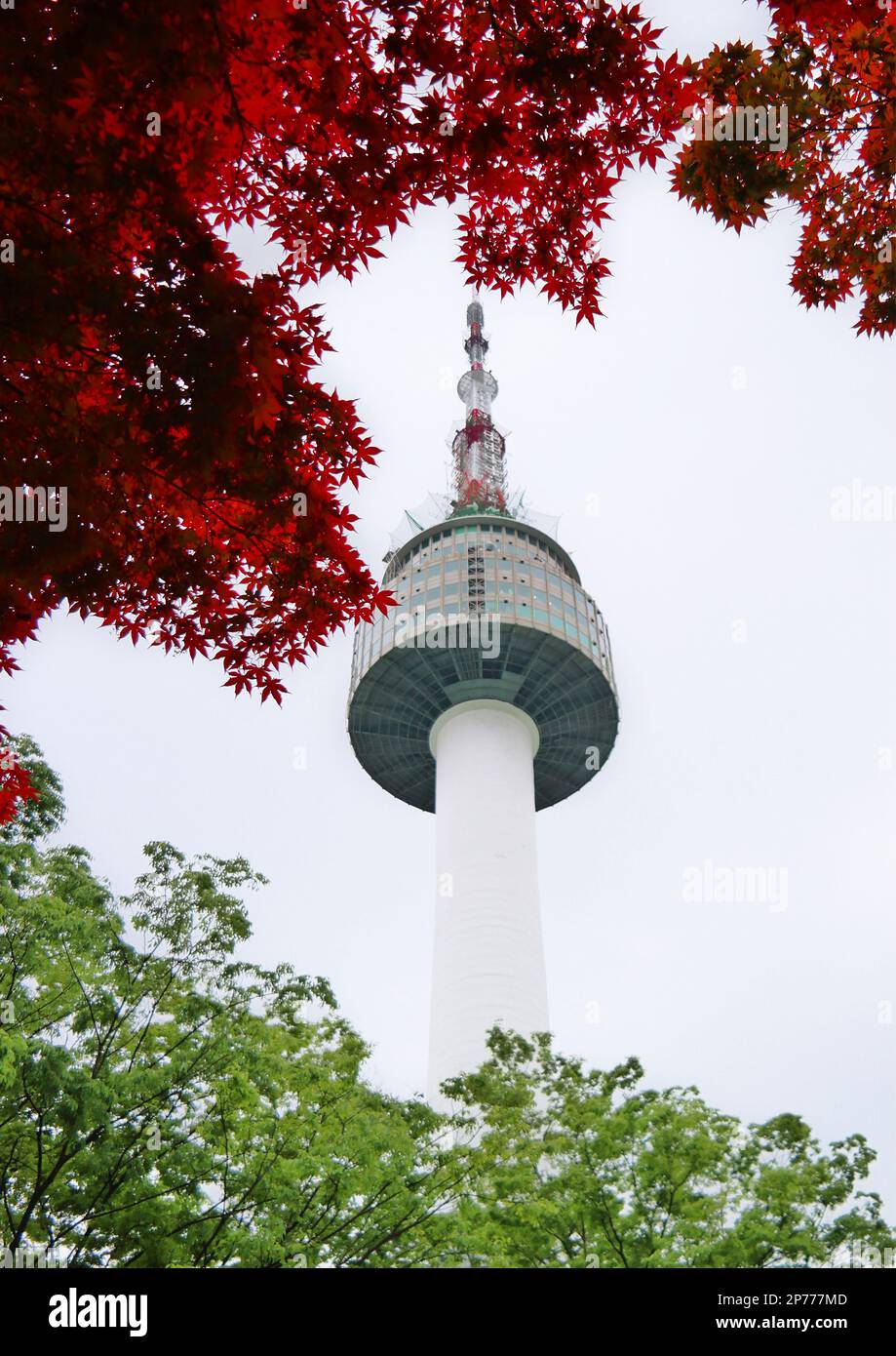 Séoul, Corée du Sud - Mai 2022: N Tour de Séoul avec des feuilles d'érable vert et rouge d'automne à Namsan Mountain Banque D'Images