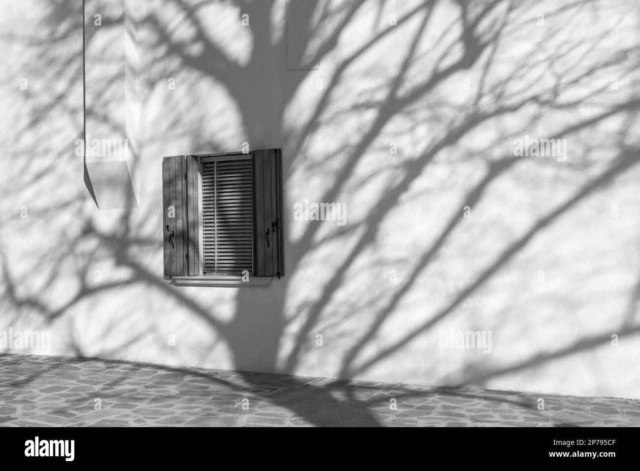Ombre d'arbres contre le mur de la maison avec fenêtre et volets à Burano, Venise, Italie en février - noir et blanc noir et blanc monochrome Banque D'Images