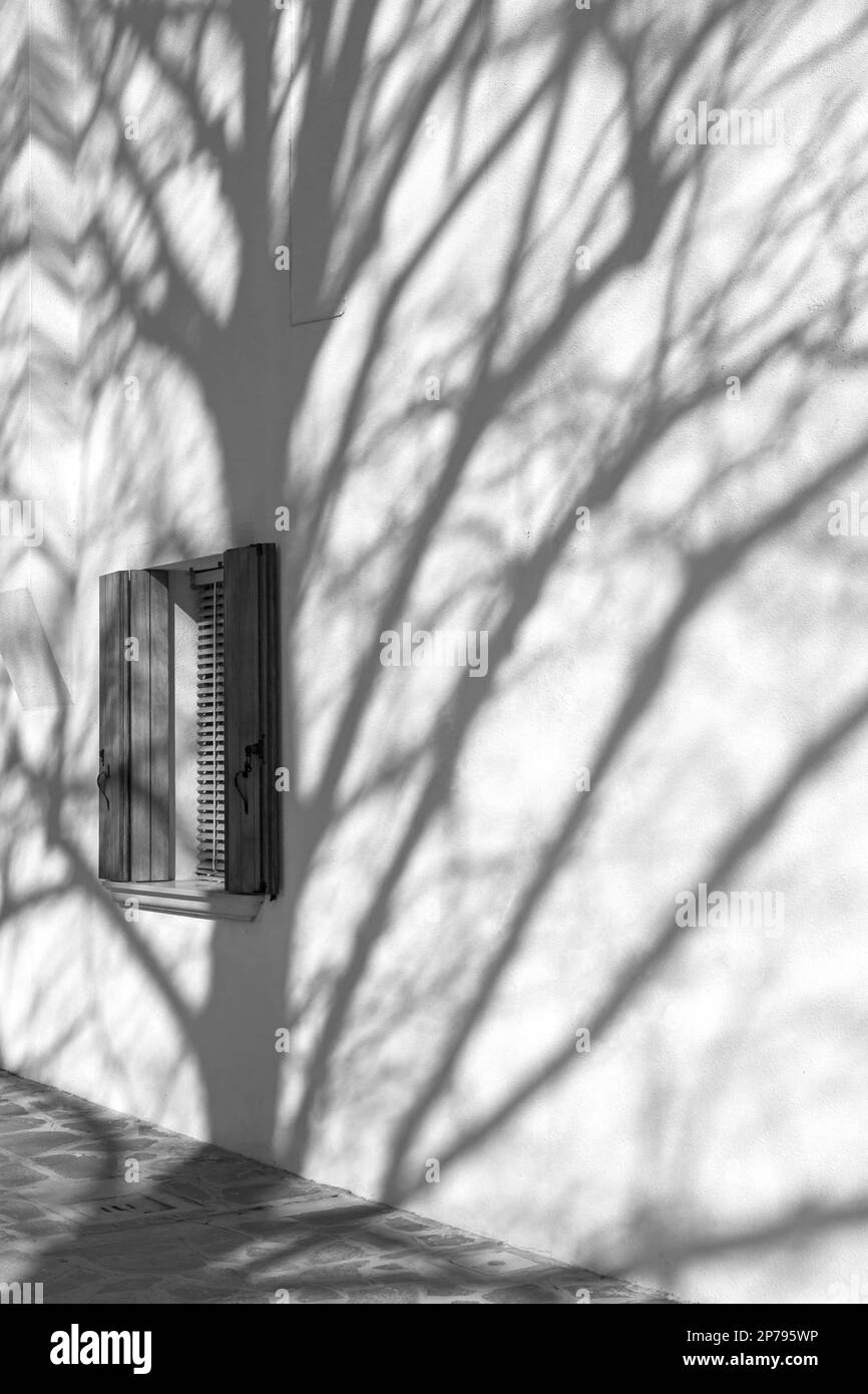 Ombre d'arbres contre le mur de la maison avec fenêtre et volets à Burano, Venise, Italie en février - noir et blanc noir et blanc monochrome Banque D'Images