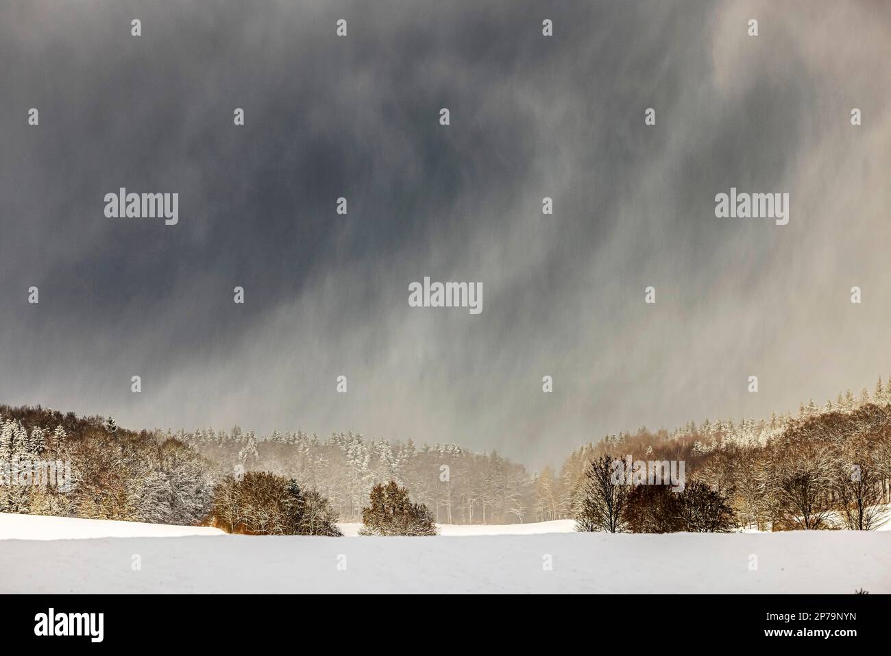 Paysage d'hiver dans l'Alb souabe, zone de la biosphère près de Feldstetten dans l'ancienne zone d'entraînement militaire de Muensingen, Laichingen, Bade-Wurtemberg Banque D'Images