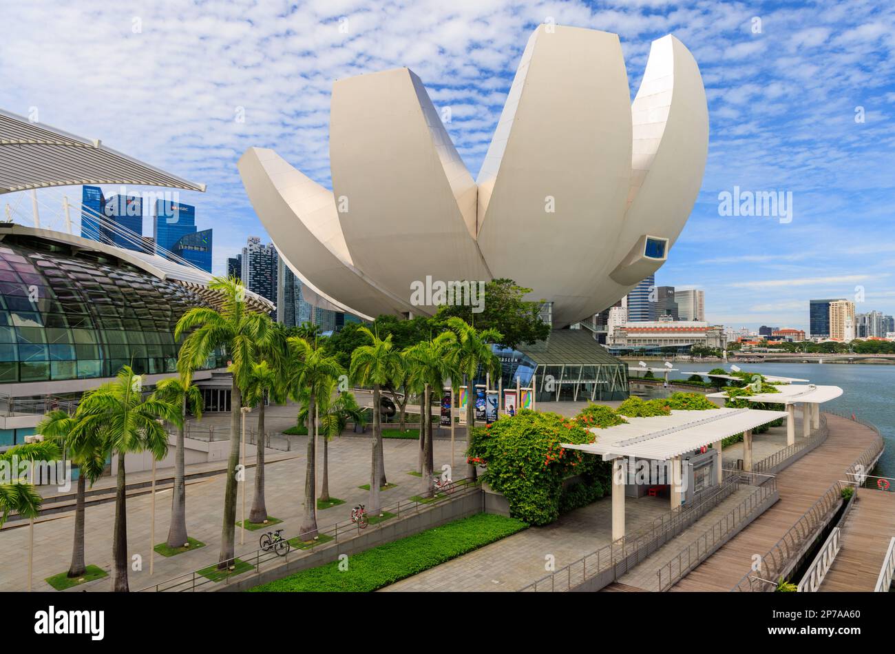 Musée ArtScience, Marina Bay, Singapour Banque D'Images