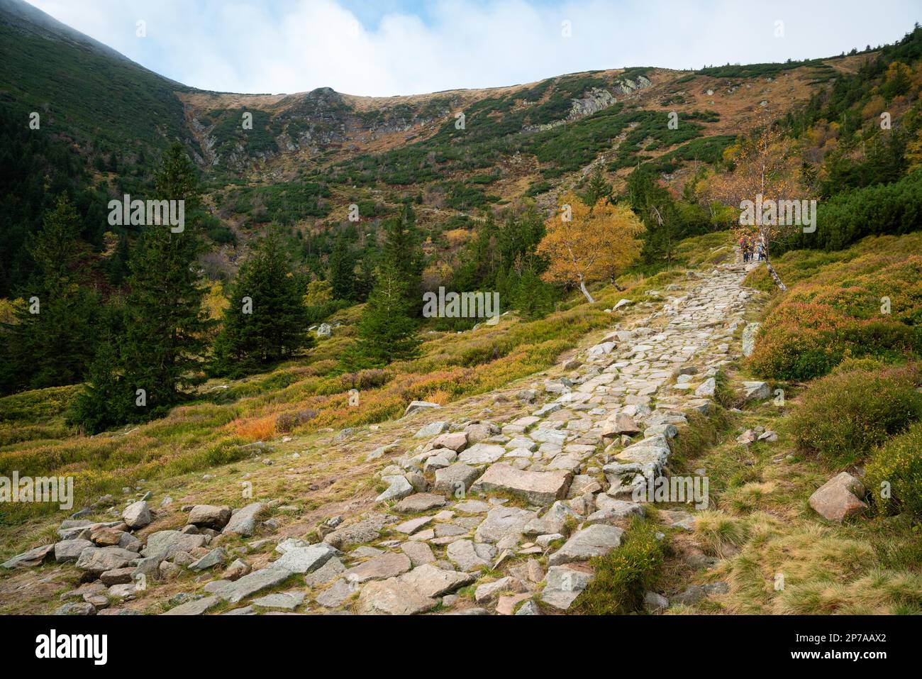 Vaste panorama sur les montagnes de Karkonosze. Montagnes polonaises, Pologne, Europe Banque D'Images