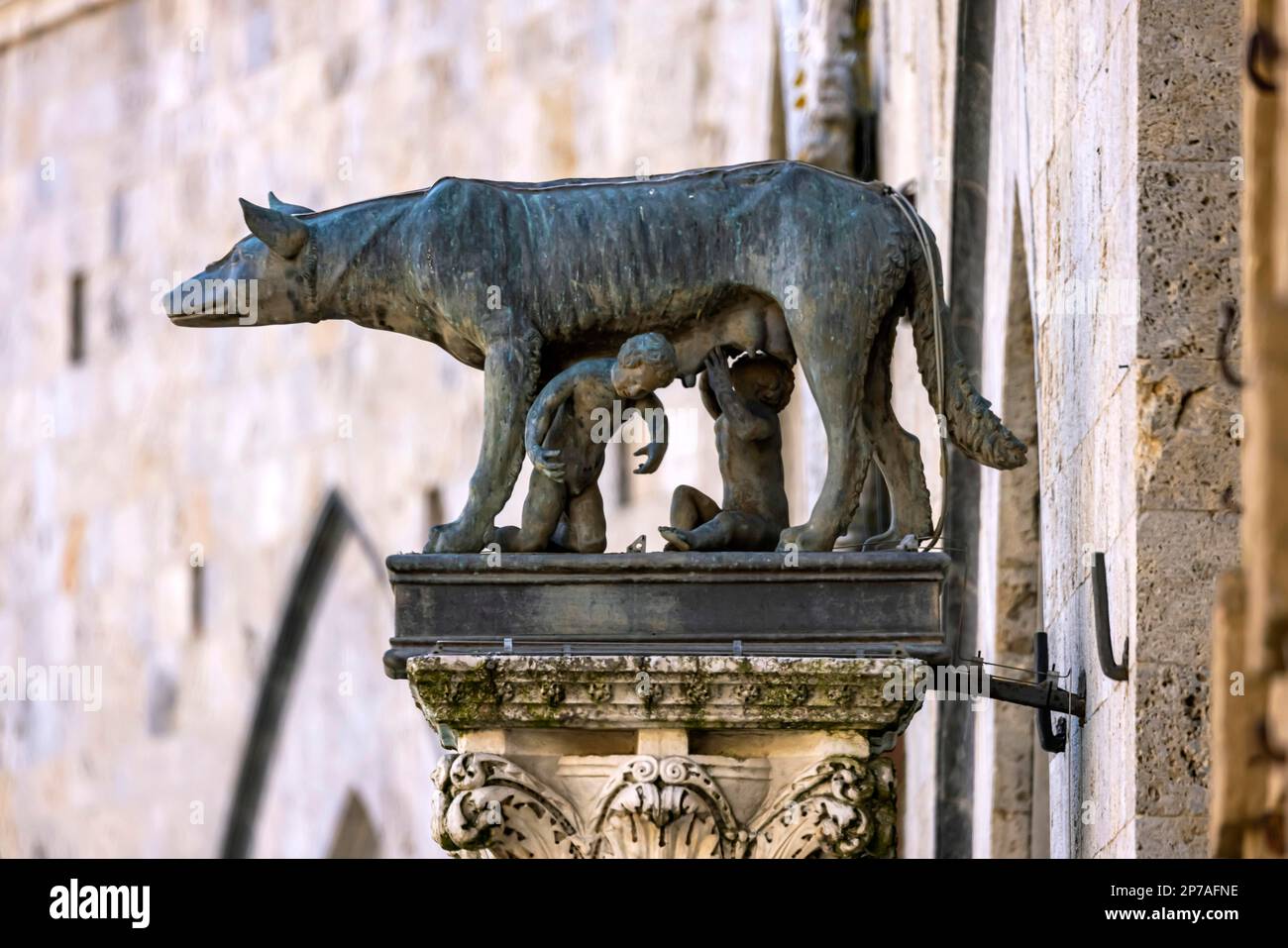 Romulus et Remus, selon la mythologie romaine les fondateurs de la ville de Rome, Hôtel de ville gothique, Palazzo Pubblico, Sienne, Italie Banque D'Images