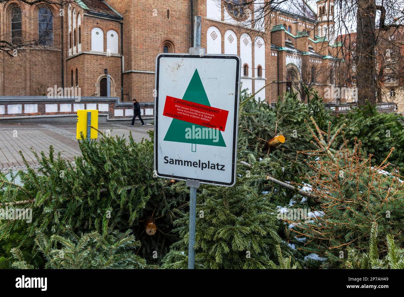 Point de collecte pour les arbres de Noël jetés, Stuttgart, Bade-Wurtemberg, Allemagne Banque D'Images