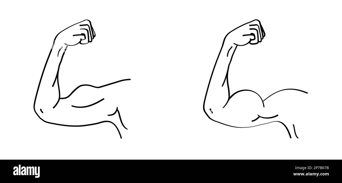 Biceps. Symbole de coude humain de dessin animé. Dessin vectoriel. Contour modifiable. Icône de contour de la partie anatomique. Motif de ligne. Icône lignes musculaires fortes. Musclé Banque D'Images