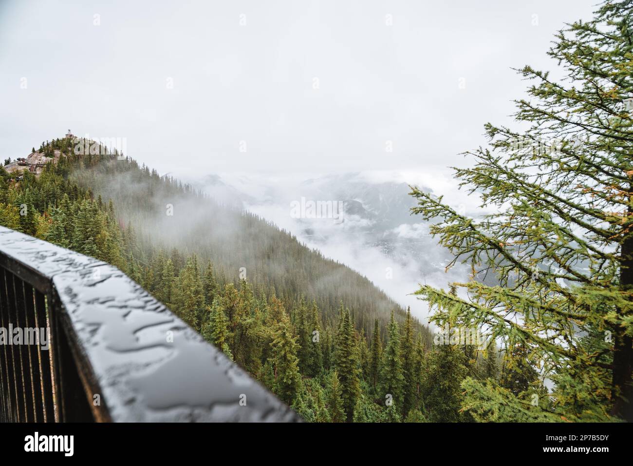 La montagne de soufre en Alberta, au Canada, lors d'un jour d'automne de mauvaise humeur Banque D'Images