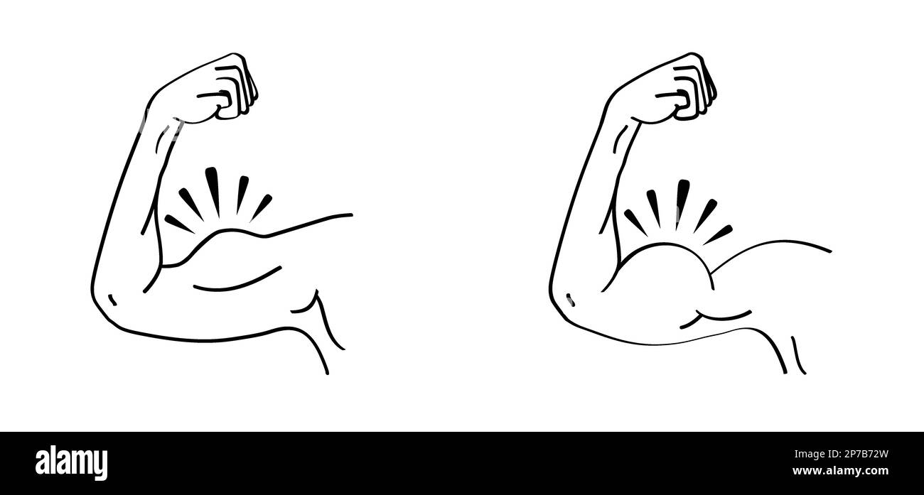 Biceps. Symbole de coude humain de dessin animé. Dessin vectoriel. Contour modifiable. Icône de contour de la partie anatomique. Motif de ligne. Icône lignes musculaires fortes. Musclé Banque D'Images