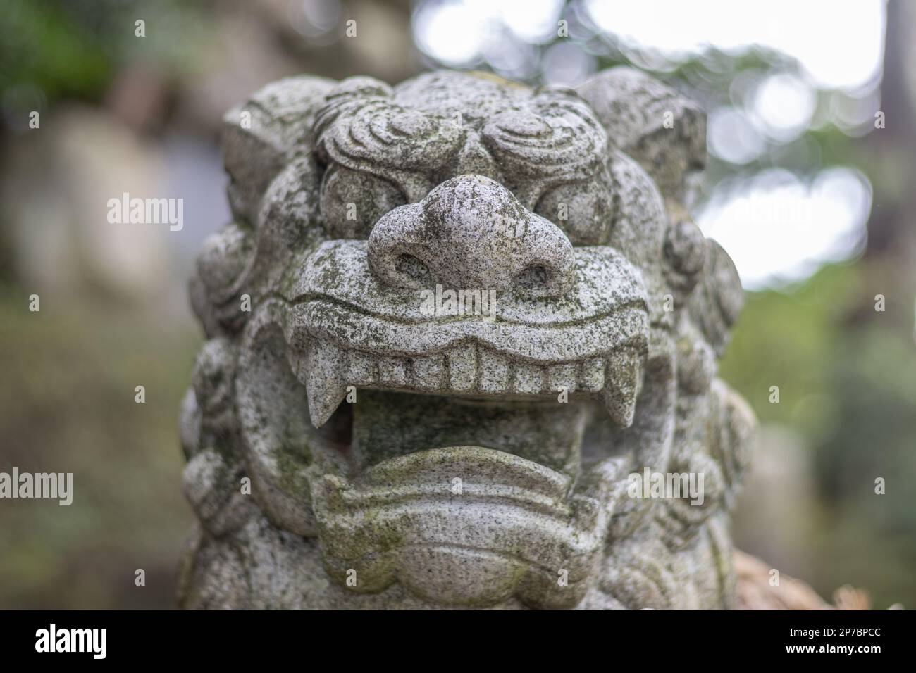Komainu, ou lion-dog, statue à Asanogawa inari jinja, Kanazawa, Japon. Banque D'Images