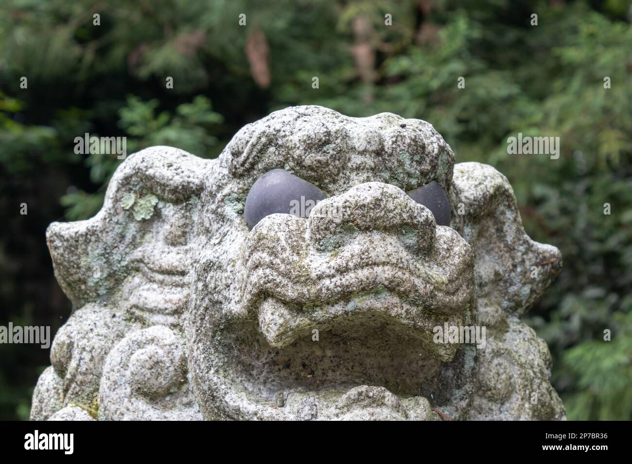 Komainu, ou lion-dog, statue à Asanogawa inari jinja, Kanazawa, Japon. Banque D'Images