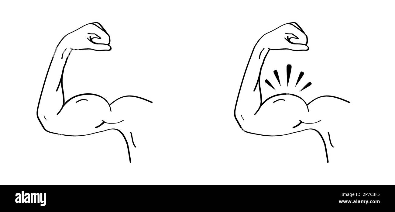 Biceps. Symbole de coude humain de dessin animé. Dessin vectoriel. Contour modifiable. Icône de contour de la partie anatomique. Motif de ligne. Icône lignes musculaires fortes. Musclé Banque D'Images