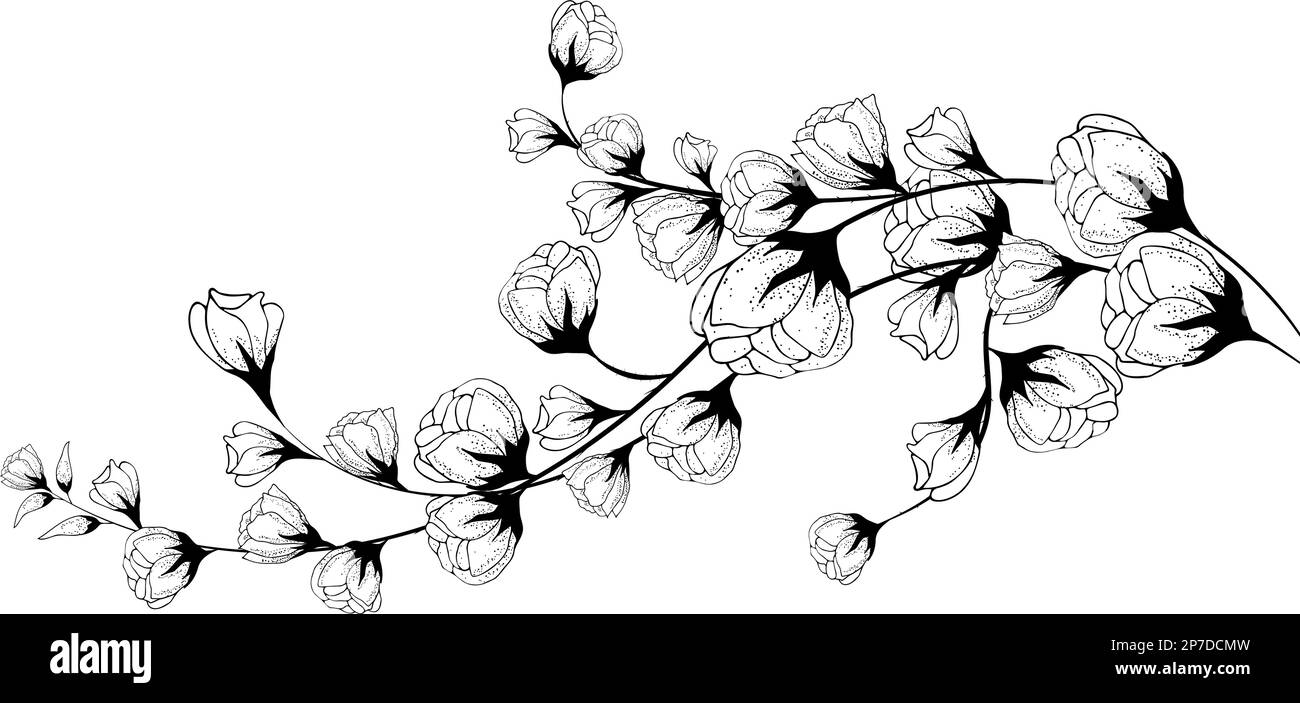 Fond floral, composition florale, fond floral avec fleurs tendres et branches de bourgeons. Dessin à la main. Pour un décor stylisé, des invitations Illustration de Vecteur
