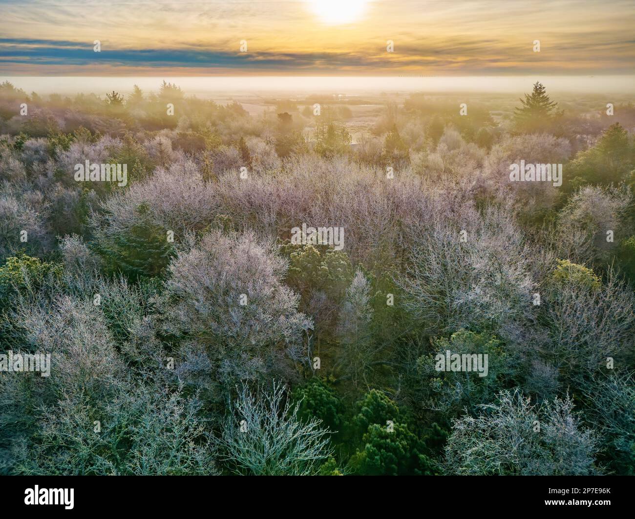 Paysage givré de mornng dans ta région rurale du Danemark Banque D'Images