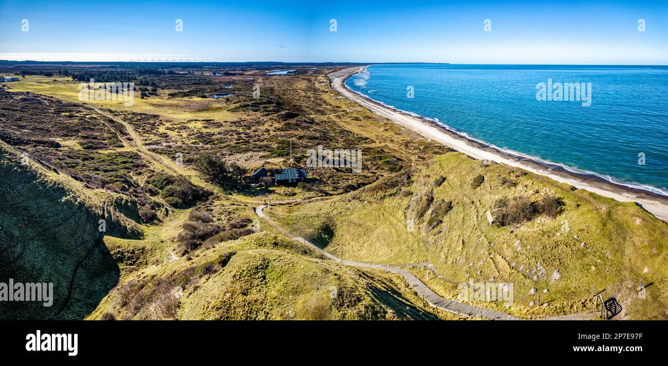 Dunes de Svinkllovene sur la côte de la mer du Nord au Danemark Banque D'Images