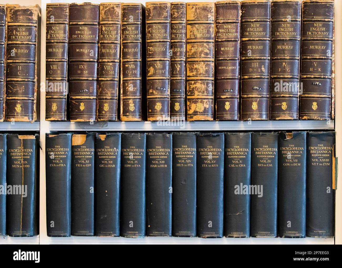 Livres dans la salle de bibliothèque de l'institution royale de Grande-Bretagne, Albermarle Street, Londres © Clarissa Debenham / Alamy Banque D'Images