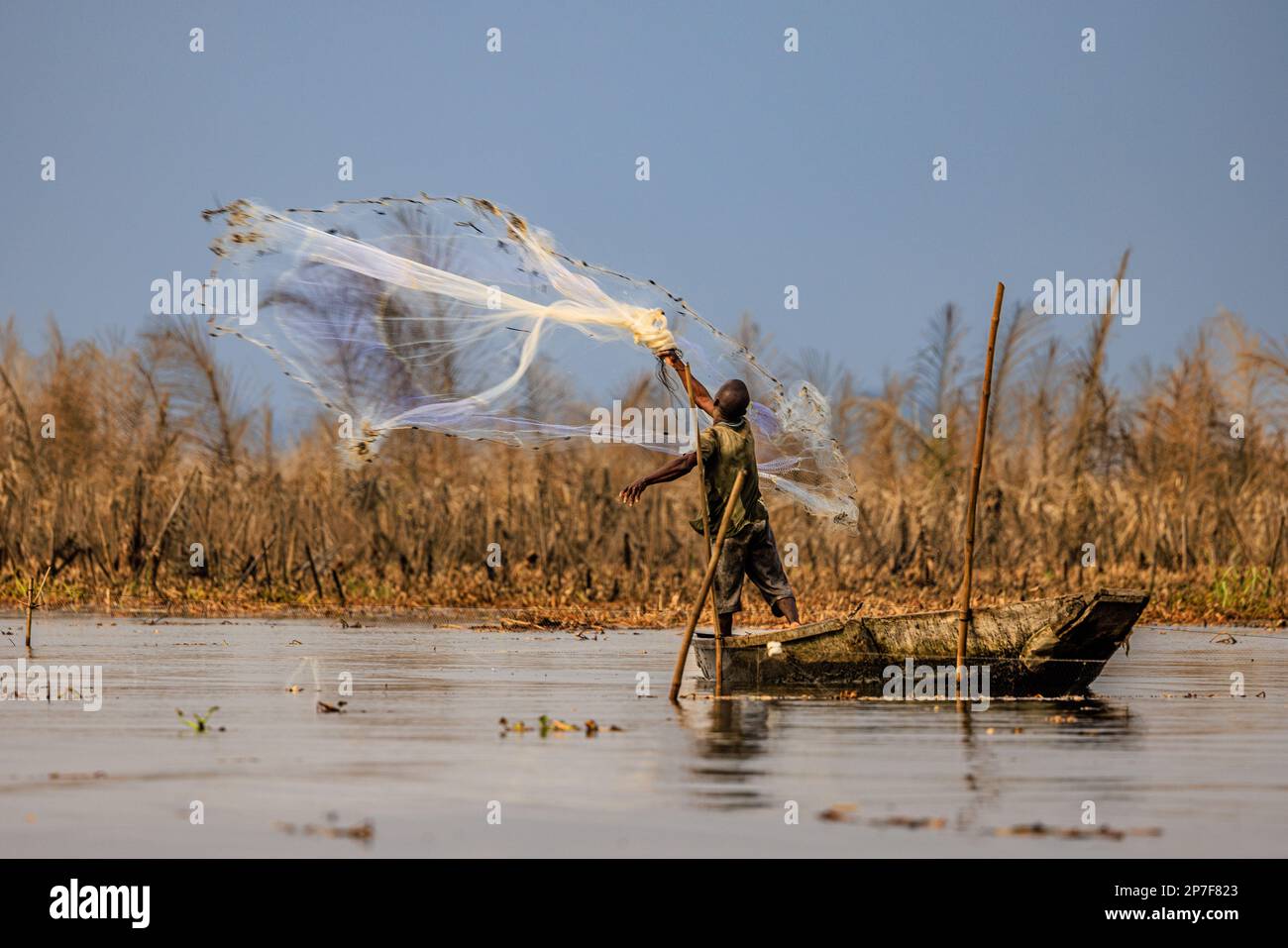 le pêcheur traditionnel jette son filet de pêche circulaire pondéré dans le lac nokwie à ganvie au bénin Banque D'Images