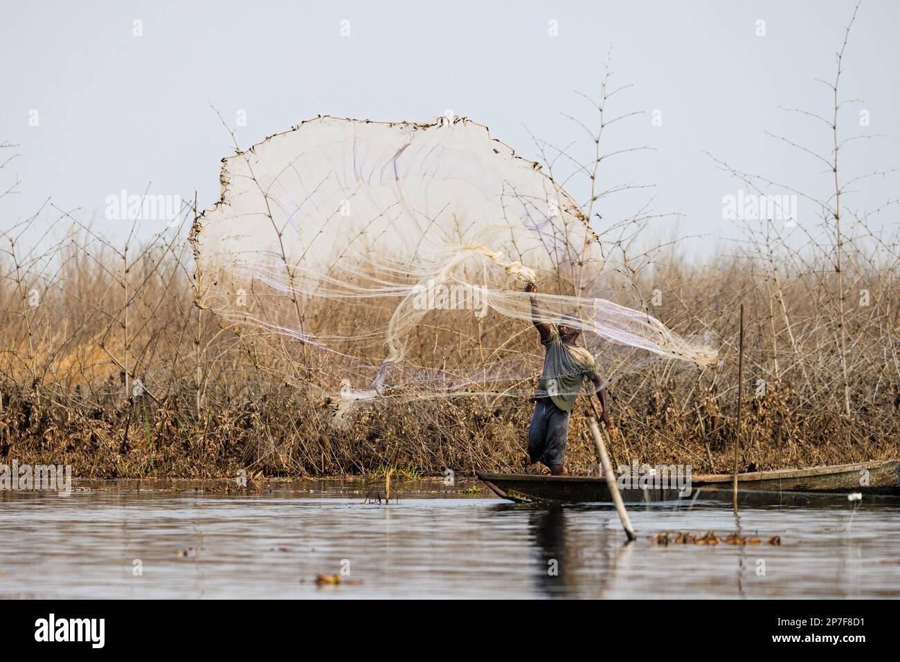 le pêcheur traditionnel jette son filet de pêche circulaire pondéré dans le lac nokwie à ganvie au bénin Banque D'Images