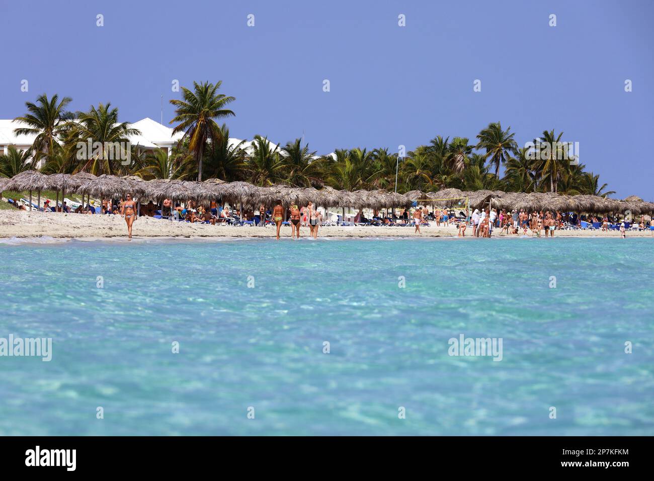 Vue de la surface de l'eau à la station tropicale avec des cocotiers. Les gens bronzent sur la plage de mer sur l'île des Caraïbes avec de l'eau bleue Banque D'Images