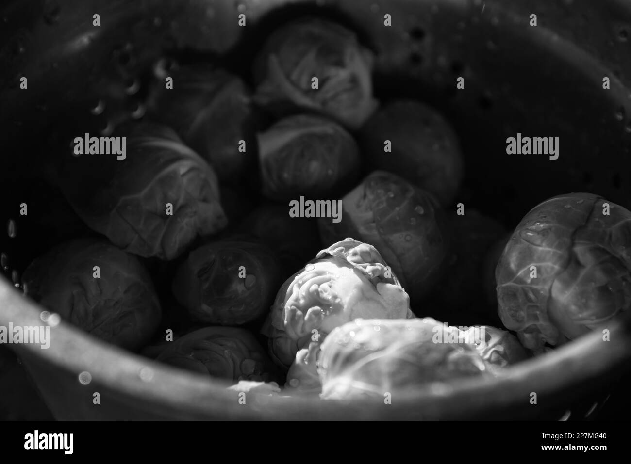 Bruxellois vert non cuit frais et propre dans une vieille passoire en métal avec des gouttes d'eau. Mise au point sélective. Cuisine de style de vie candiée. Noir blanc Banque D'Images