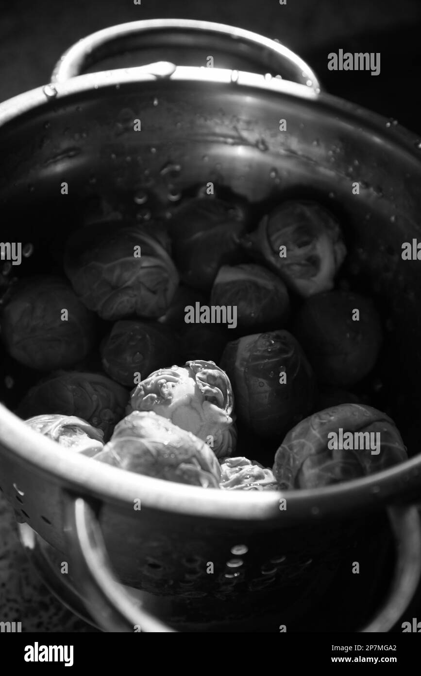 Bruxellois vert non cuit frais et propre dans une vieille passoire en métal avec des gouttes d'eau. Mise au point sélective. Cuisine de style de vie candiée. Noir blanc Banque D'Images