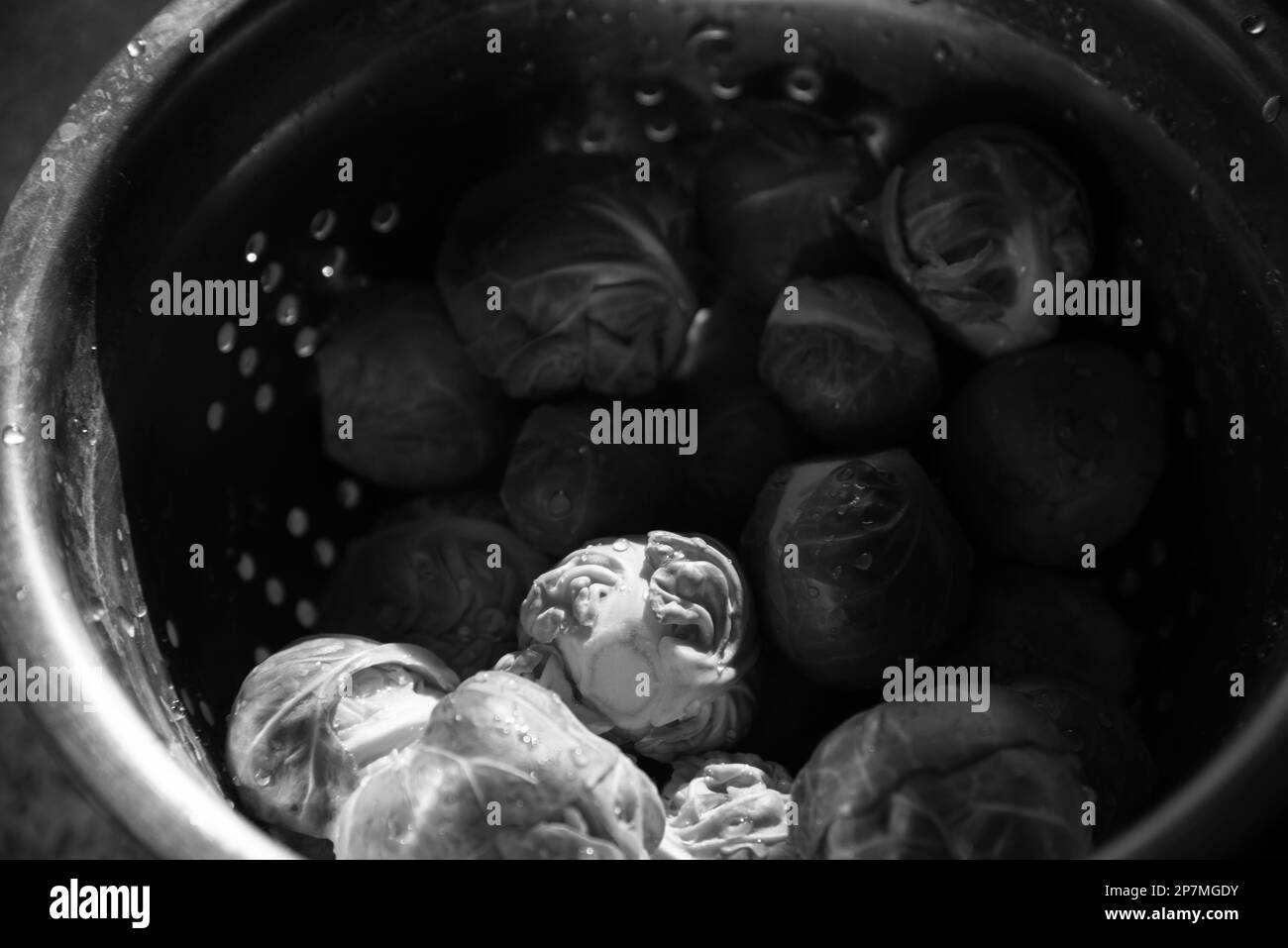 Bruxellois vert non cuit frais et propre dans une vieille passoire en métal avec des gouttes d'eau. Mise au point sélective. Cuisine de style de vie candiée. Noir blanc Banque D'Images