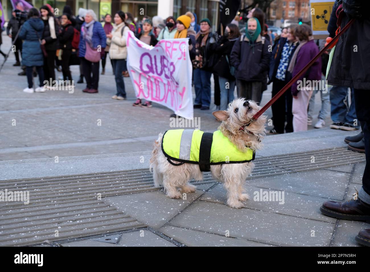 Édimbourg, Écosse, Royaume-Uni. 8th mars 2023. Manifestations et activités pour la Journée internationale de la femme sur la place Brison, le thème de cette année est international et la solidarité de grève, avec un accent sur les luttes des femmes iraniennes. Le rallye à Bristo Square. Crédit : Craig Brown/Alay Live News Banque D'Images
