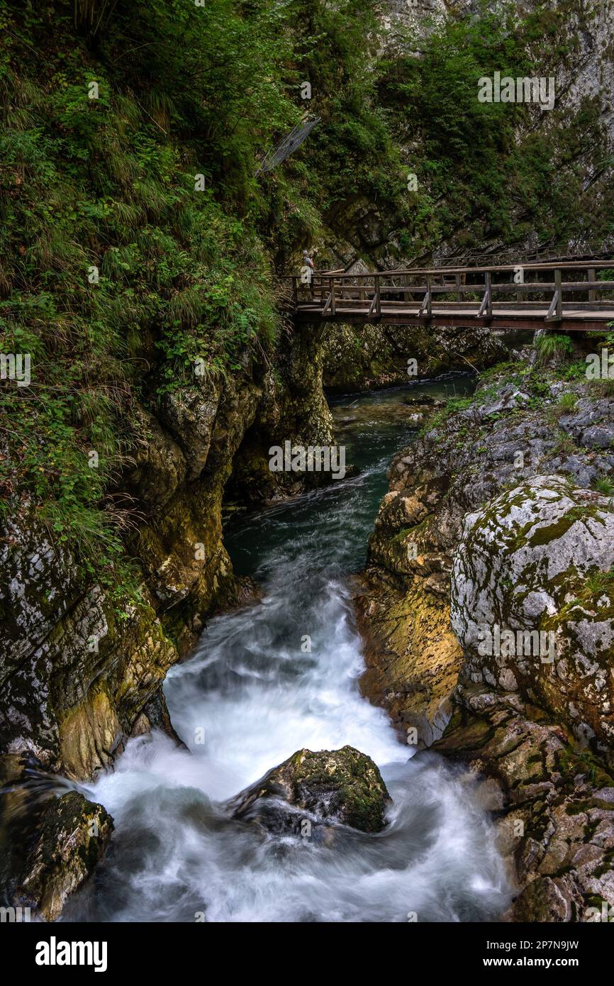 Cours d'eau s'écoulant autour d'une pierre dans la gorge de Vintgar, Bled, Slovénie Banque D'Images
