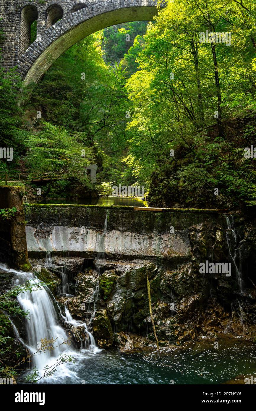 Petite cascade sortant d'un barrage dans un magnifique parc national, Vintgar gorge, Bled, Slovénie Banque D'Images
