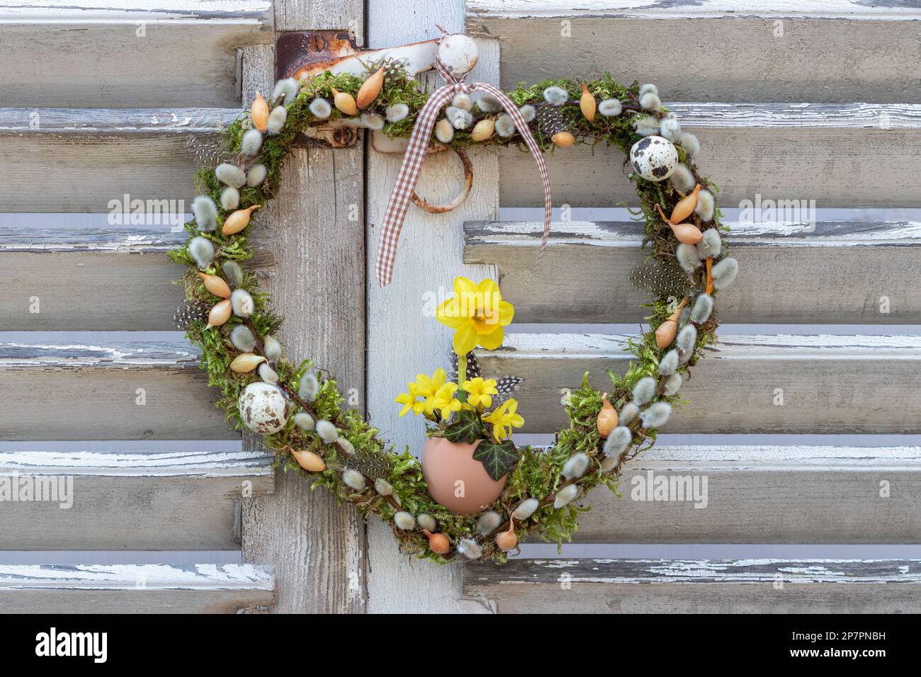 couronne de printemps en forme de coeur avec des moos, des chatons de saule, un ensemble d'oignons et des fleurs de narcisse Banque D'Images