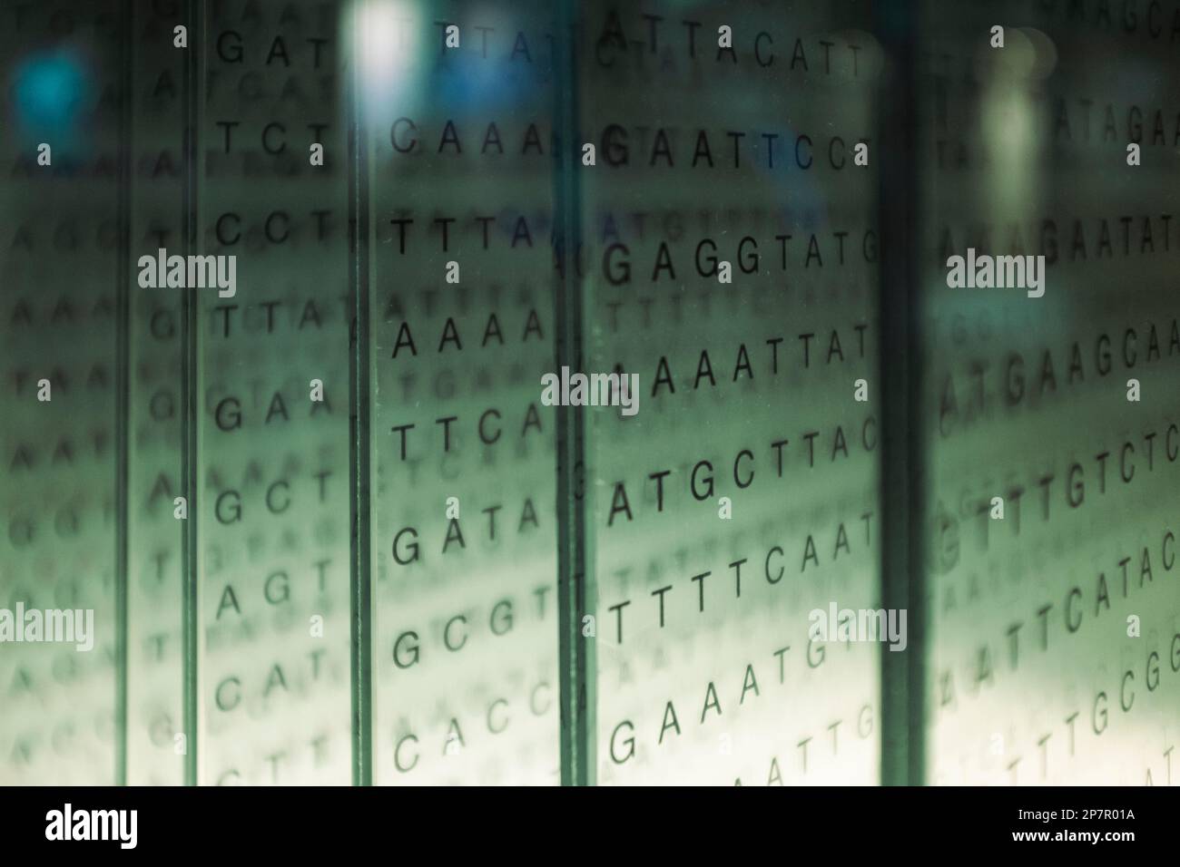 Matrice de code de lettre majuscule écrite sur différents panneaux de verre translucide dans une scène abstraite de rangée avec des codes d'ARN et d'ADN Banque D'Images