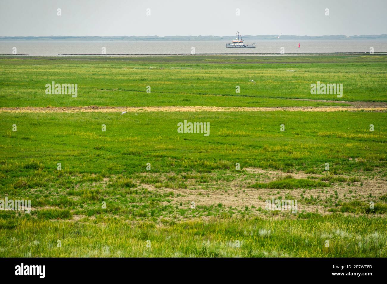 Le ferry entre le continent et l'île d'Ameland, pays-Bas 2022. Banque D'Images