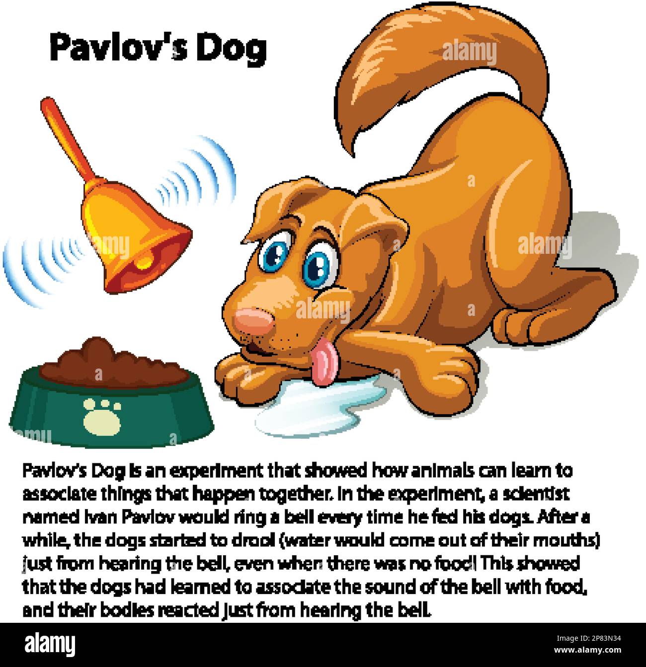 Illustration du vecteur d'expérience canine de Pavlov Illustration de Vecteur