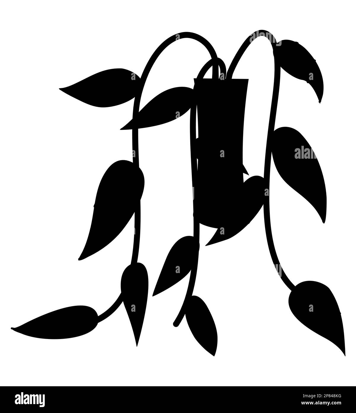 Silhouette noire de pot avec vigne de plante, illustration vectorielle, plante suspendue Illustration de Vecteur